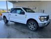 2023 Ford F-150 XLT (Stk: 23252) in Port Alberni - Image 1 of 16