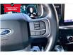 2023 Ford F-150 Lariat (Stk: 66954U) in Calgary - Image 20 of 34
