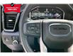 2025 GMC Sierra 3500HD Denali Ultimate (Stk: 66237U) in Calgary - Image 20 of 36