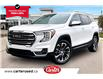 2022 GMC Terrain SLT (Stk: 12296U) in Calgary - Image 1 of 33
