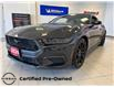 2024 Ford Mustang EcoBoost Premium (Stk: P6851) in Toronto - Image 1 of 16