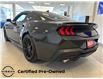 2024 Ford Mustang EcoBoost Premium (Stk: P6851) in Toronto - Image 3 of 16