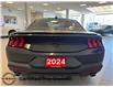 2024 Ford Mustang EcoBoost Premium (Stk: P6851) in Toronto - Image 4 of 16