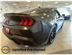 2024 Ford Mustang EcoBoost Premium (Stk: P6851) in Toronto - Image 5 of 16