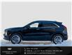 2025 Cadillac XT4 Premium Luxury (Stk: R26500) in Ottawa - Image 4 of 34