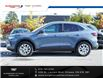 2024 Ford Escape Active (Stk: 25215A) in Ottawa - Image 7 of 21