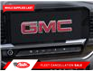 2025 GMC Sierra 3500HD SLT (Stk: SF253169) in Calgary - Image 20 of 24