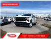 2024 Chevrolet Silverado 1500 Work Truck (Stk: RZ378371) in Calgary - Image 1 of 19