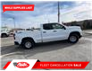 2024 Chevrolet Silverado 1500 Work Truck (Stk: RZ378371) in Calgary - Image 6 of 19
