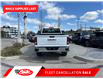 2025 GMC Sierra 3500HD Pro (Stk: SF277892) in Calgary - Image 4 of 19