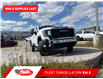 2025 GMC Sierra 3500HD Pro (Stk: SF277892) in Calgary - Image 7 of 19