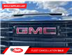2025 GMC Sierra 3500HD Pro (Stk: SF277892) in Calgary - Image 11 of 19