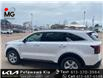 2025 Kia Sorento 2.5L LX (Stk: 25142) in Petawawa - Image 1 of 27