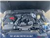 2025 Jeep Gladiator Sport S (Stk: SJ011) in Innisfail - Image 19 of 22