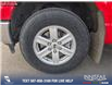 2023 Ford F-150 XL (Stk: P1030) in Innisfail - Image 8 of 24
