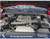 2023 Ford F-150 XL (Stk: P1030) in Innisfail - Image 9 of 24