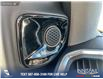 2025 RAM 1500 Tungsten (Stk: SR029) in Innisfail - Image 28 of 29