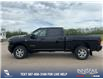 2025 RAM 3500 Big Horn (Stk: SR037) in Innisfail - Image 3 of 25