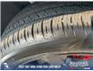 2022 Ford Explorer ST (Stk: SD013A) in Innisfail - Image 7 of 25