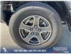 2023 Jeep Wrangler Sport (Stk: SJ021A) in Innisfail - Image 19 of 25