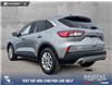 2022 Ford Escape SE (Stk: P1182) in Innisfail - Image 4 of 17