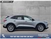 2022 Ford Escape SE (Stk: P1182) in Innisfail - Image 6 of 17