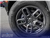 2025 Ford Bronco Sport Big Bend (Stk: R9B11871) in Richmond - Image 7 of 23
