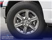 2025 Ford F-150 XLT (Stk: W3L21260) in Richmond - Image 7 of 23