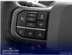2025 Ford F-150 Lariat (Stk: W5L58089) in Richmond - Image 14 of 23