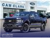 2025 Ford F-150 XLT (Stk: W3L71866) in Richmond - Image 1 of 24