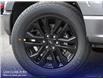2025 Ford F-150 XLT (Stk: W3L72679) in Richmond - Image 8 of 23