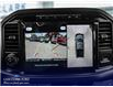 2025 Ford F-150 XLT (Stk: W3L72679) in Richmond - Image 21 of 23