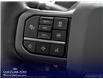 2025 Ford F-150 Lariat (Stk: W5L64920) in Richmond - Image 14 of 23