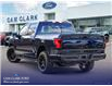 2025 Ford F-150 Lightning XLT (Stk: W3L06556) in Richmond - Image 4 of 22