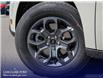 2025 Ford Maverick XLT (Stk: W8J56126) in Richmond - Image 7 of 24