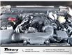 2024 Jeep Wrangler Sport (Stk: 24-196) in Tilbury - Image 6 of 27