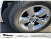 2019 RAM 1500 Classic ST (Stk: 48726P) in Tilbury - Image 8 of 14