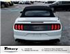 2021 Ford Mustang GT Premium (Stk: 26-054-2) in Tilbury - Image 4 of 35
