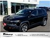 2019 Jeep Cherokee Trailhawk (Stk: 48745T-1) in Tilbury - Image 1 of 32