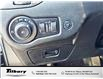 2019 Jeep Cherokee Trailhawk (Stk: 48745T-1) in Tilbury - Image 17 of 32