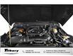 2024 Jeep Wrangler Sahara (Stk: 48830U) in Tilbury - Image 9 of 12