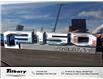 2020 Ford F-150 XL (Stk: 42633-1) in Tilbury - Image 10 of 48