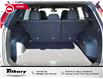 2025 Jeep Compass Sport (Stk: D25-172) in Tilbury - Image 14 of 14