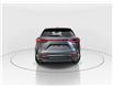 2026 Lexus NX 350  (Stk: 15105206) in Richmond Hill - Image 6 of 18