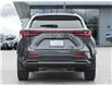 2026 Lexus NX 350  (Stk: 15105174) in Richmond Hill - Image 6 of 25