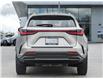 2026 Lexus NX 350  (Stk: 15105136) in Richmond Hill - Image 6 of 26