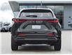 2026 Lexus NX 350h  (Stk: 15105389) in Richmond Hill - Image 6 of 26