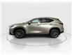 2026 Lexus NX 350h  (Stk: 15105681) in Richmond Hill - Image 4 of 19
