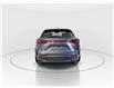 2026 Lexus NX 350  (Stk: 15105849) in Richmond Hill - Image 6 of 8