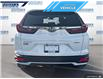 2022 Honda CR-V LX (Stk: P6066) in Dartmouth - Image 5 of 24